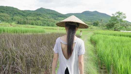 女农民走在稻田里