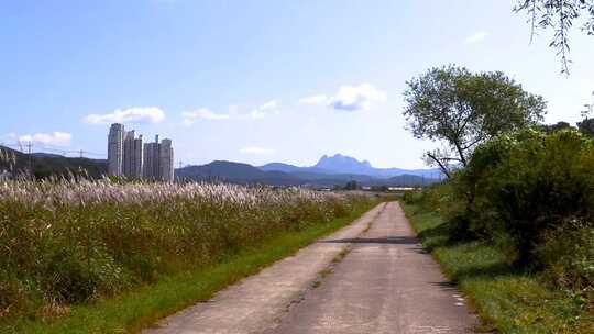 乡村马路蓝天白云美景