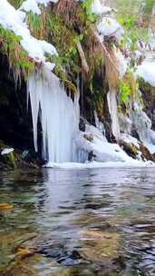 森林小河里冰冻融化的流水 唯美自然