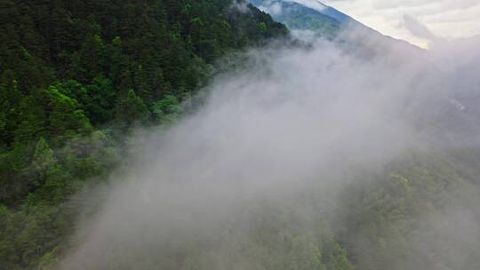 大山山脉峡谷云雾蒸气里拉出拉远