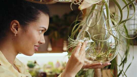 女人，花店，植物园，温室