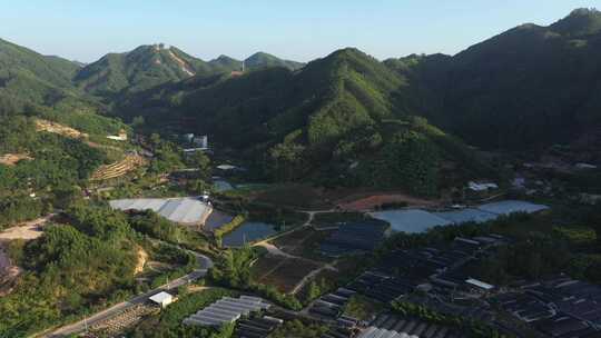 福建省漳州市龙海山林自然风光航拍