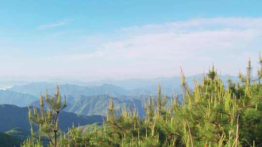 杭州临安大明山牵牛岗群山风景