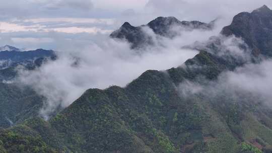 黄山茶山云雾黄山猴坑村风貌