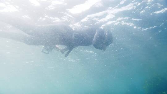 潜水员在浮潜