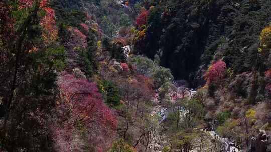 泰山对松山的秋色