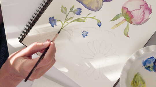 水彩画。花卉水彩素描，特写视频