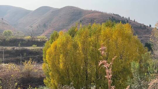 济南南部山区天井峪村，古朴的石头房子