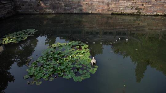 杭州西湖景区岳王庙建筑