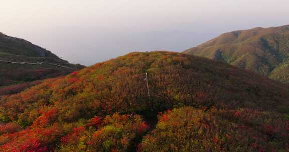 长沙浏阳大围山森林公园杜鹃花海航拍