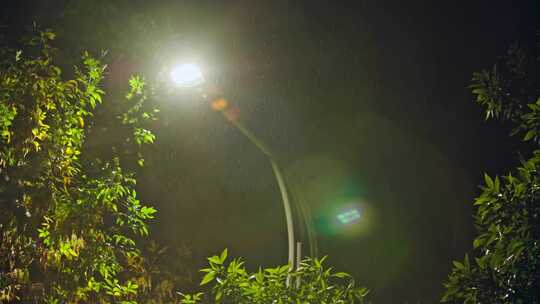 雨夜路灯下雨 -风雨交加