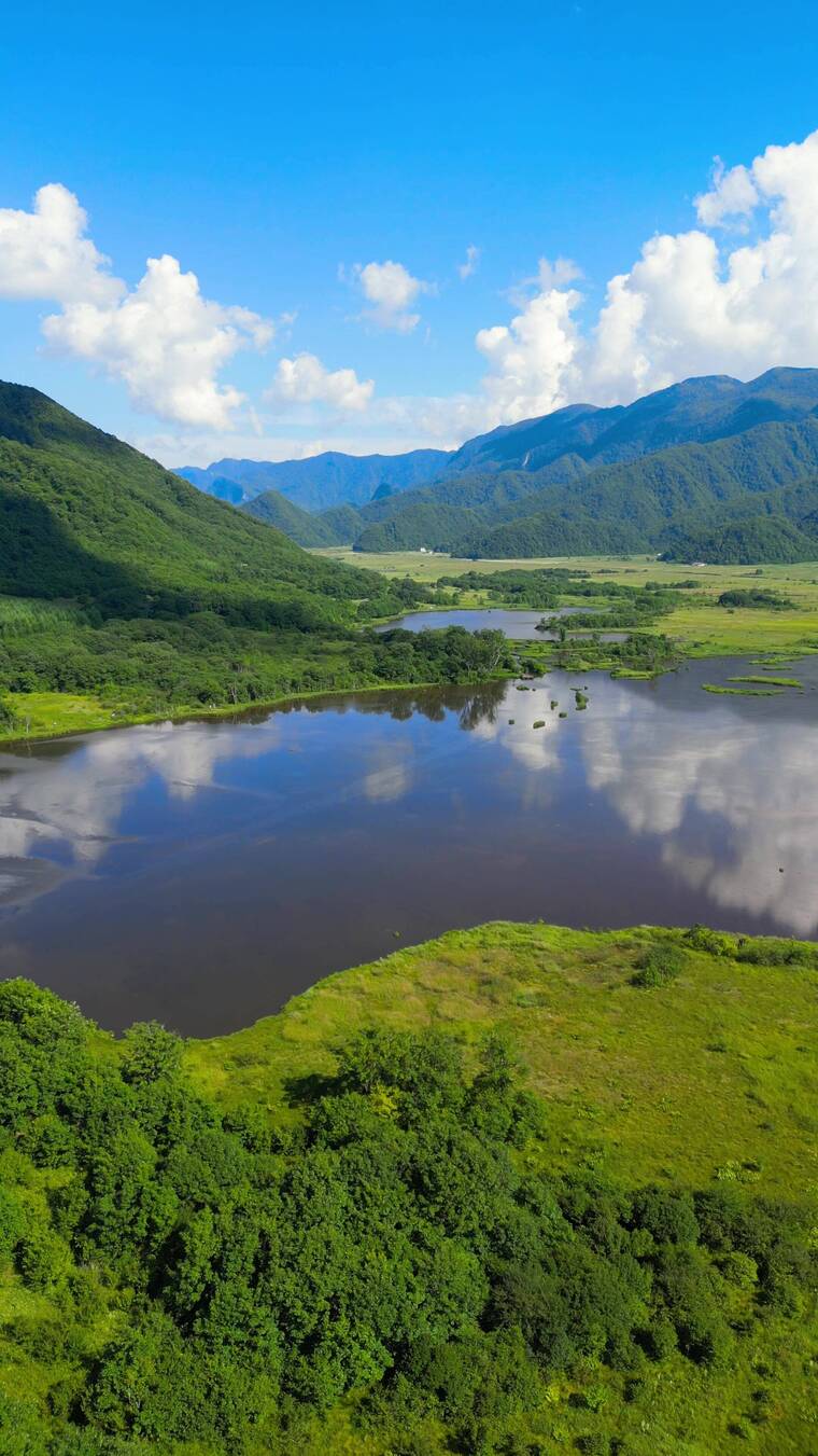神农架大九湖自然风光航拍竖屏【4K】