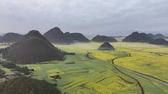 航拍油菜花海罗田云南春天蓝天白云风景景区