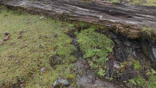 川西沙埋湖水高海拔自然风光视频素材