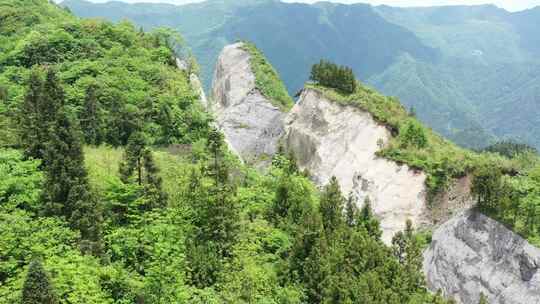 章子岩航拍