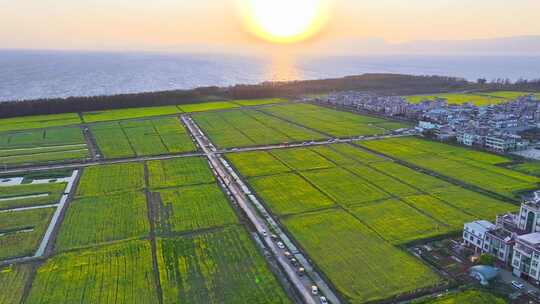 昆明江尾村油菜花航拍