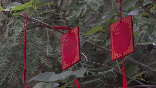 树枝上的红色祈福牌