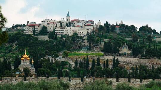 耶路撒冷橄榄山视频素材模板下载