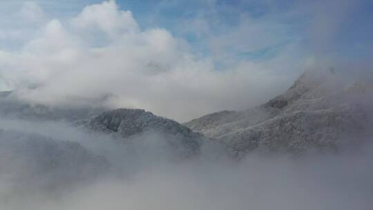 森林-航拍森林-大自然森林云雾-云海雪景