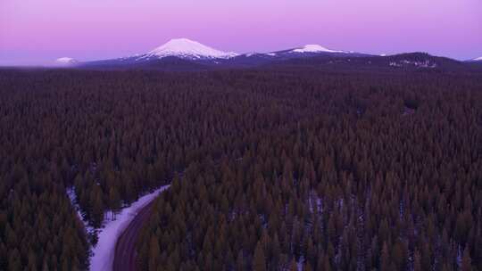 森林，森林，道路，雪峰