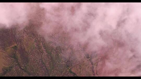 空中雾蒙蒙的景观