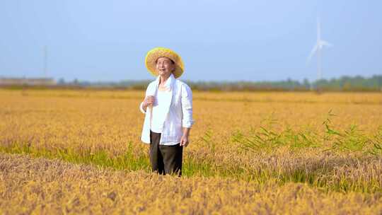 生态农业 农田 农民田间劳作