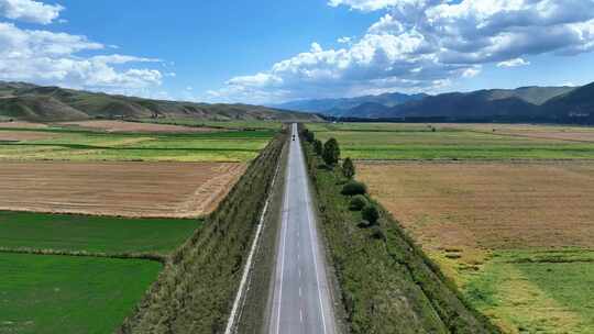 稻田公路