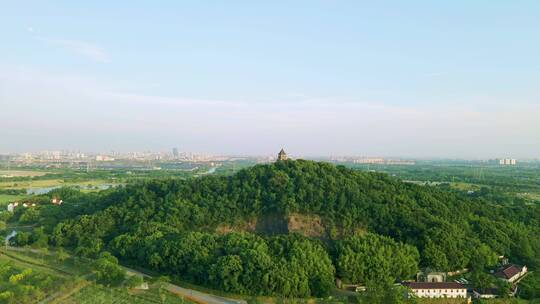 上海辰山植物园4K航拍