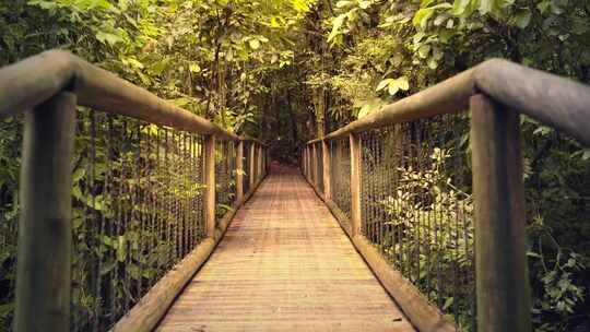 美丽的悬索木桥