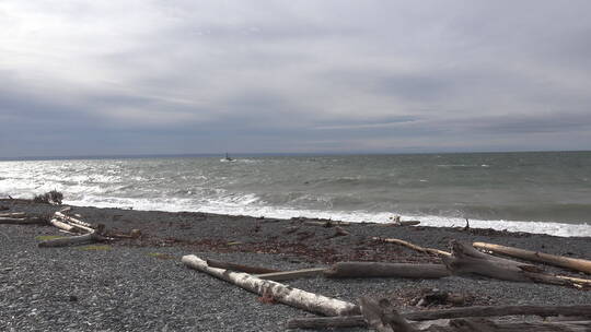 海浪拍打着海岸      