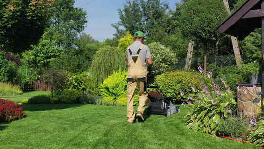 季节性草坪护理和维护。