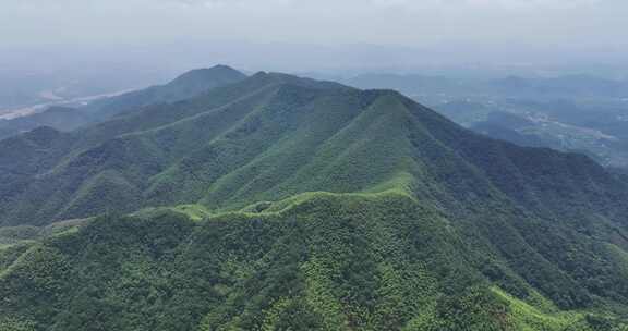 中国浙江杭州径山竹山竹林竹海大气治愈