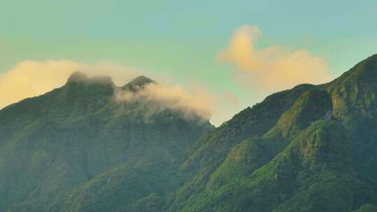 茶山 山川 云海 云南原始森林 大好河山