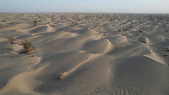 原创 新疆巴音郭楞塔克拉玛干沙漠干旱地带
