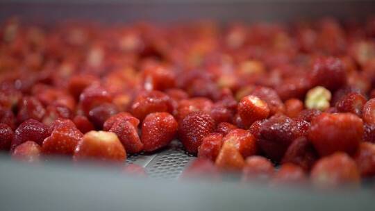 食品加工草莓冻干加工工厂视频素材模板下载