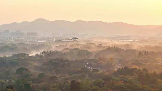 杭州秋天 西溪湿地 手摇船 湿地博物馆