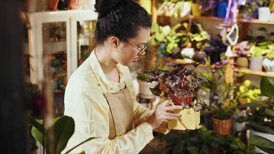 女人，花店，植物园，植物