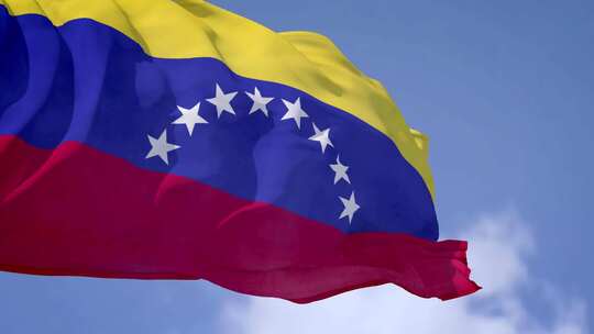 委内瑞拉快速挥舞国旗