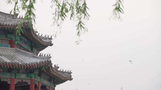 北京颐和园_宫殿视频素材模板下载