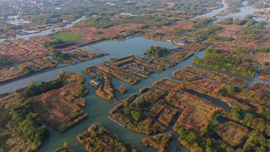 浙江省湖州市德清下渚湖湿地景区航拍视频素材模板下载