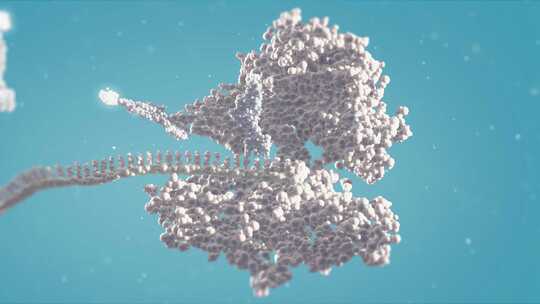 DNA-RNA转录细胞通过碱基互补蛋白质生物