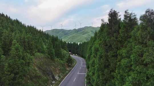 山间公路风景，两旁绿树成荫景色美