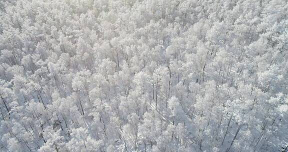 零下40度的低温航拍大兴安岭冰雪雾凇