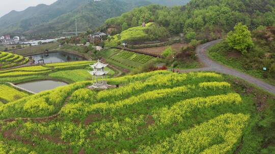 东阳湖溪象田村油菜花海风光 航拍