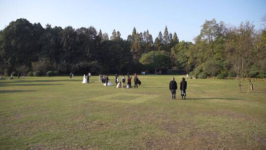 杭州西湖景区太子湾公园