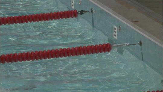 游泳运动员游到终点线后举起双臂庆祝胜利