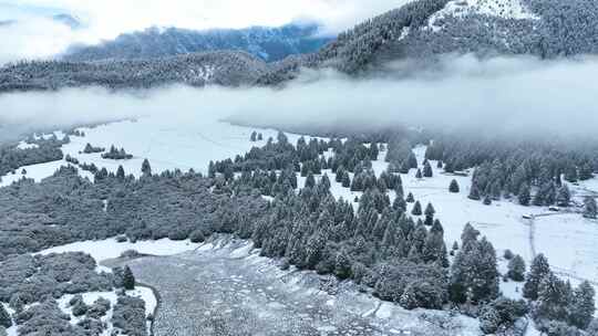 西藏林芝鲁朗林海雪原冬天乡村雪景风光航拍