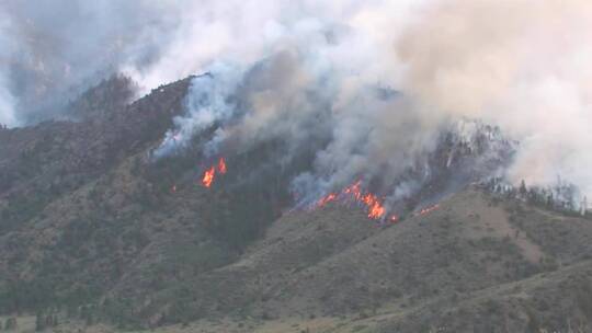 大火在山坡上燃烧视频素材模板下载