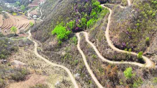 农村盘山路土路出村路险路视频素材模板下载