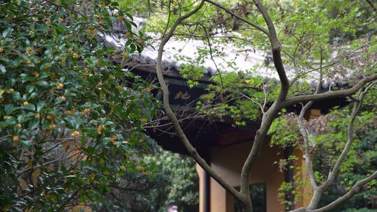 杭州飞来峰永福寺禅院风景